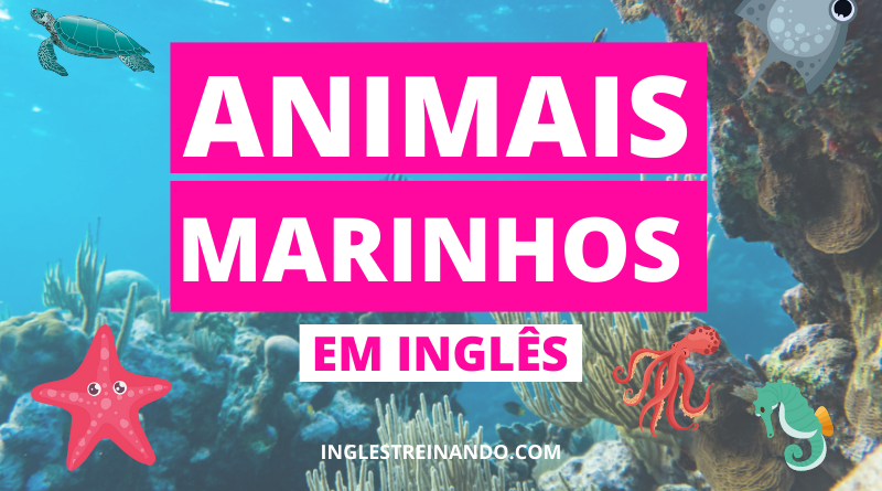 animais marinhos em inglês, inglês treinando