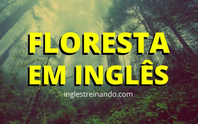 Palavras de Floresta em Inglês