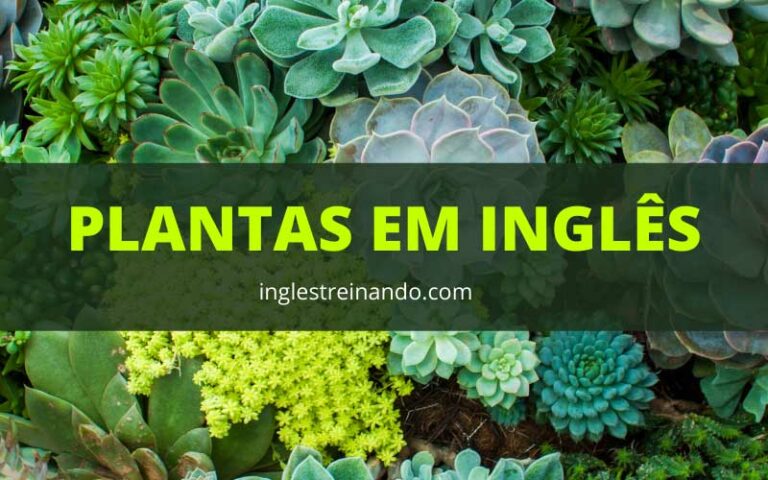 Tipos de Plantas em inglês