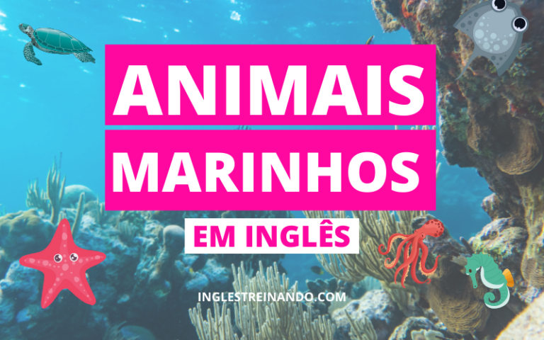 animais marinhos em inglês, inglês treinando