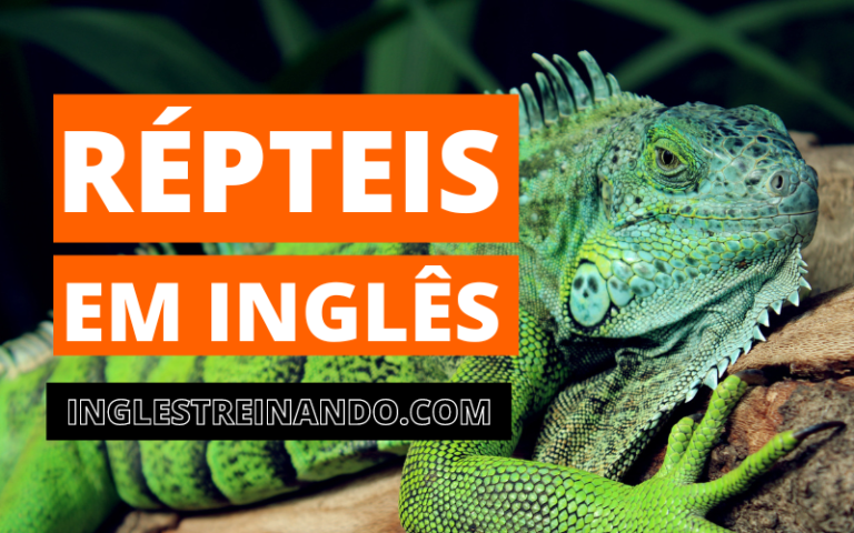 Réptil e anfíbio em inglês