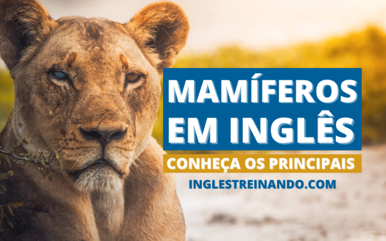 Mamíferos em Inglês, inglês treinando