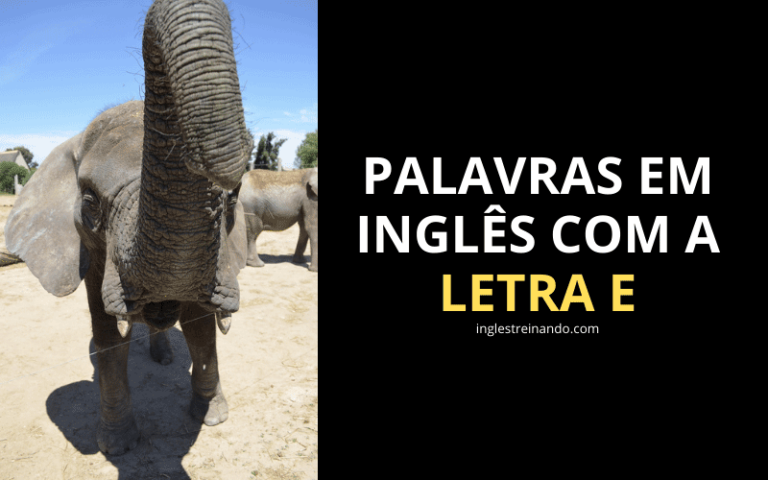 Lista de Palavras em Inglês com a Letra E